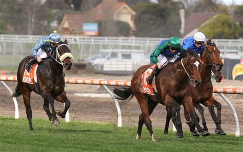 bet on coolmore stud stakes